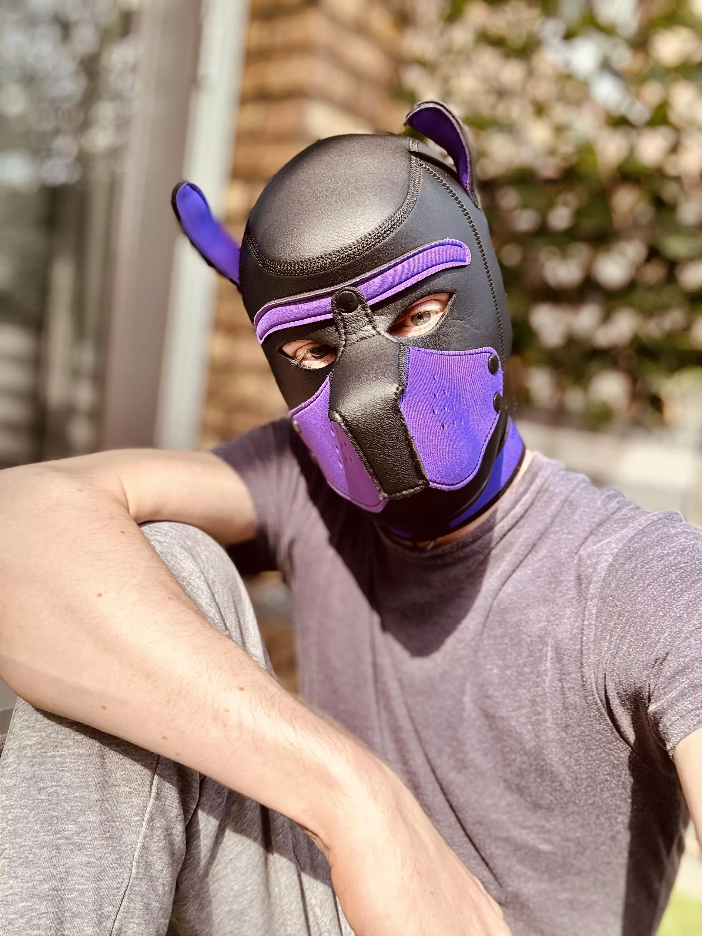 Have a woofderfull day you all! 💜🐶 posted by Pup_Arlo