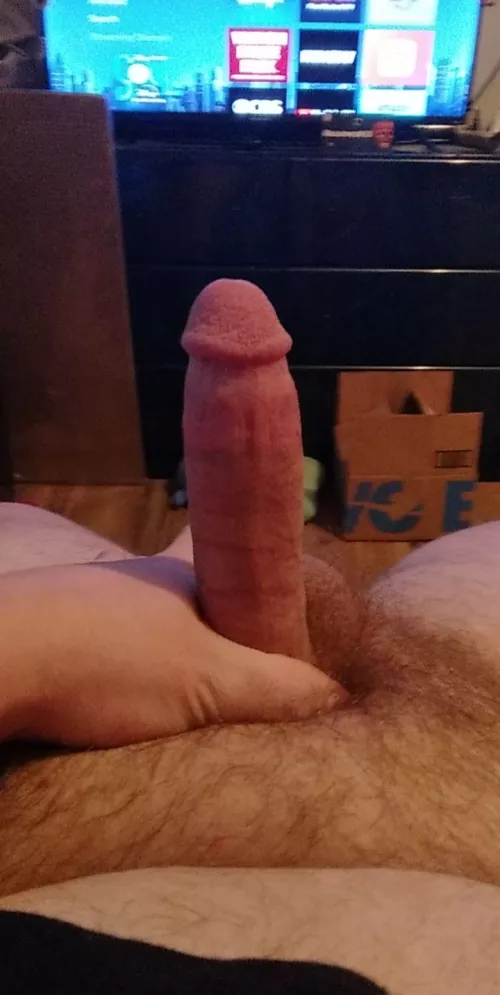 Hey y'all like my penis  by Western_Tiger_4021