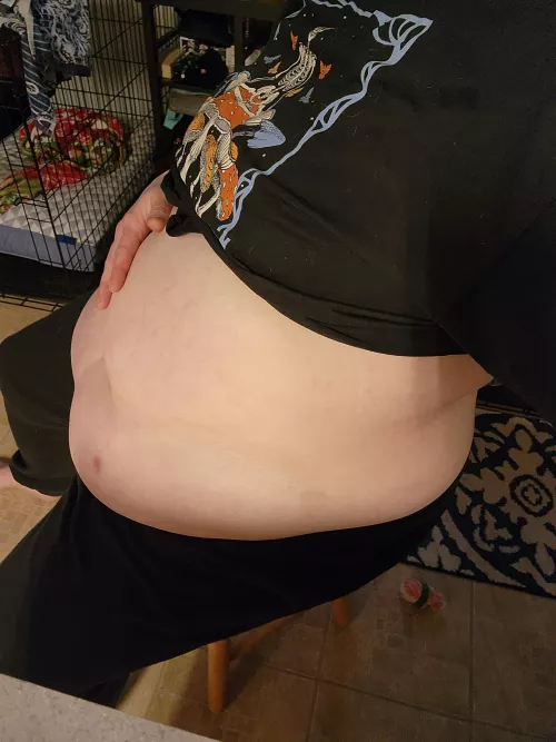 I'm so full from breakfast......I think I could stuff more in there though. by Bl3mishedB3auty