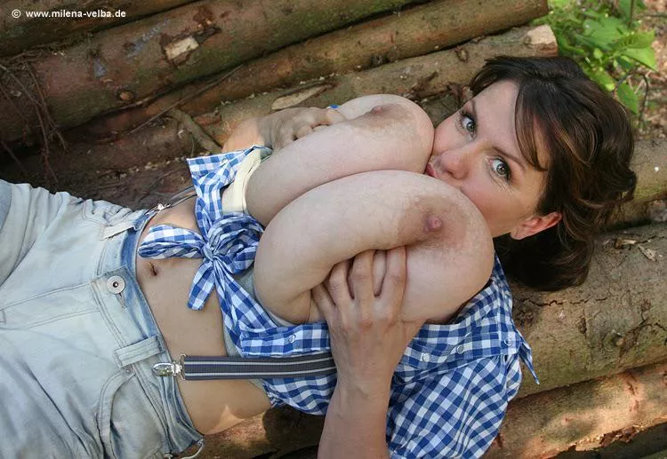 lumberjacky posted by _jorts