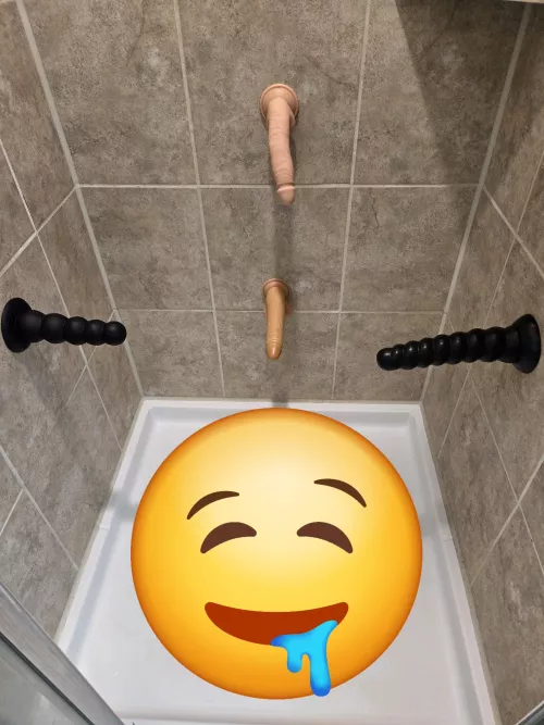 My playground!!! by Desperate_One6278