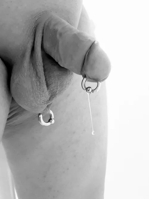 Precum by Local-Card-5819