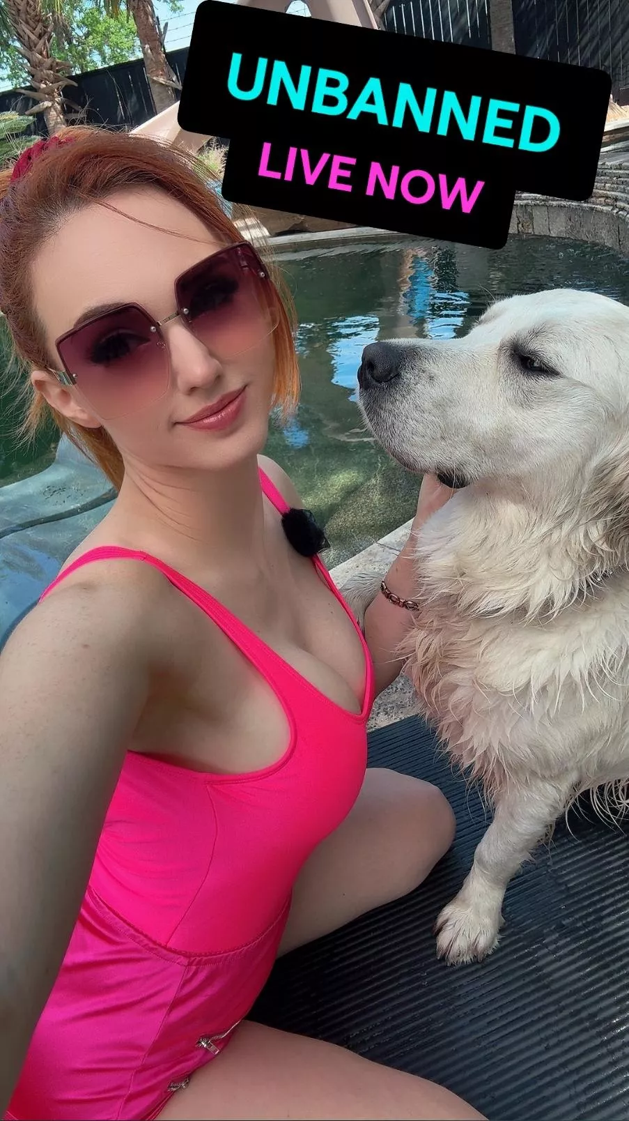 🚨 SHE'S LIVE RIGHT NOW! 🚨 UNBANNED ON TWITCH.TV/AMOURANTH 🚨 posted by InfiltratorOmega