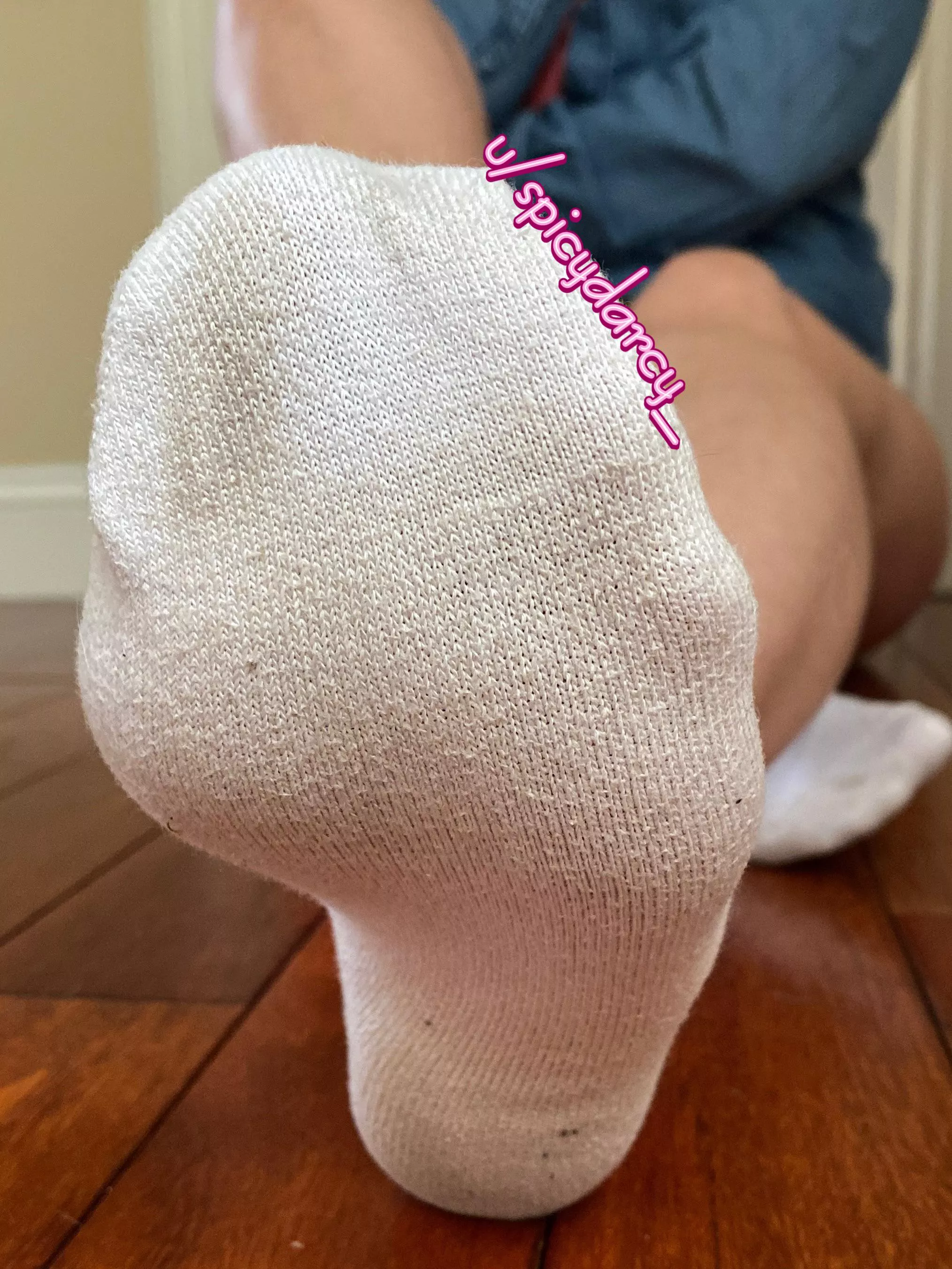 Sniff and say “ thank you, Darcy” posted by Spicydarcy_