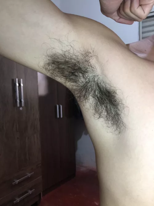 Some say it’s too much.. should i shave it ? by DaddyTebal