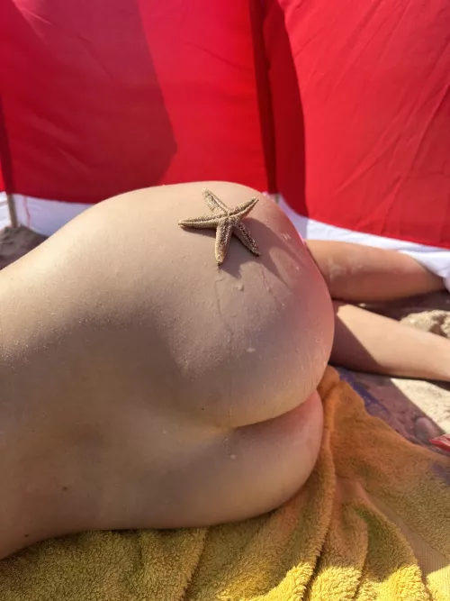 Star by Own-Reveal827