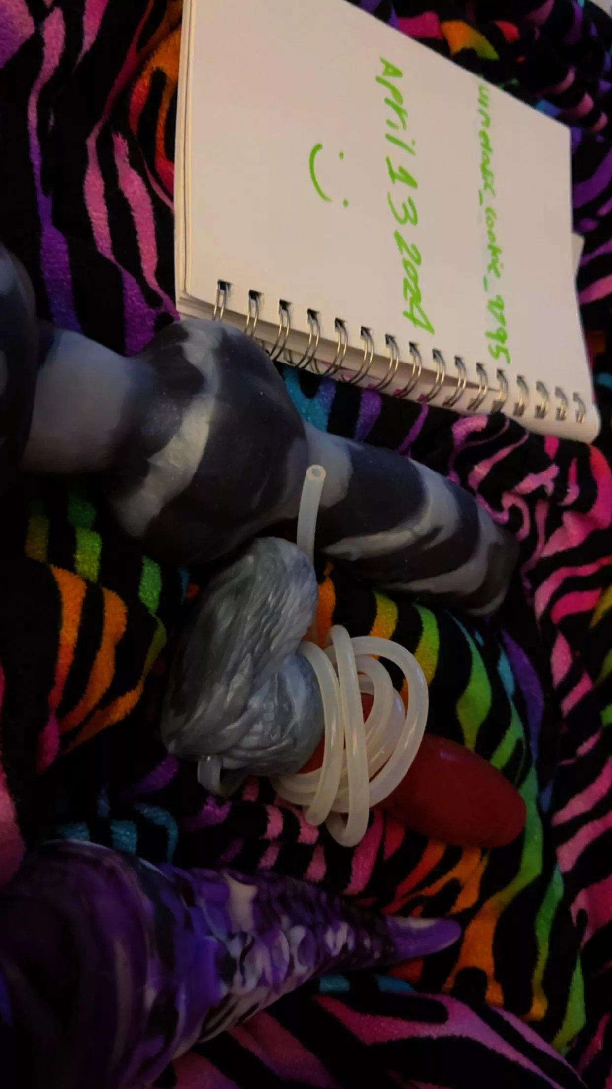 [WTS] [USA] bad dragon small sell!! posted by Melodic_Cookie_9795