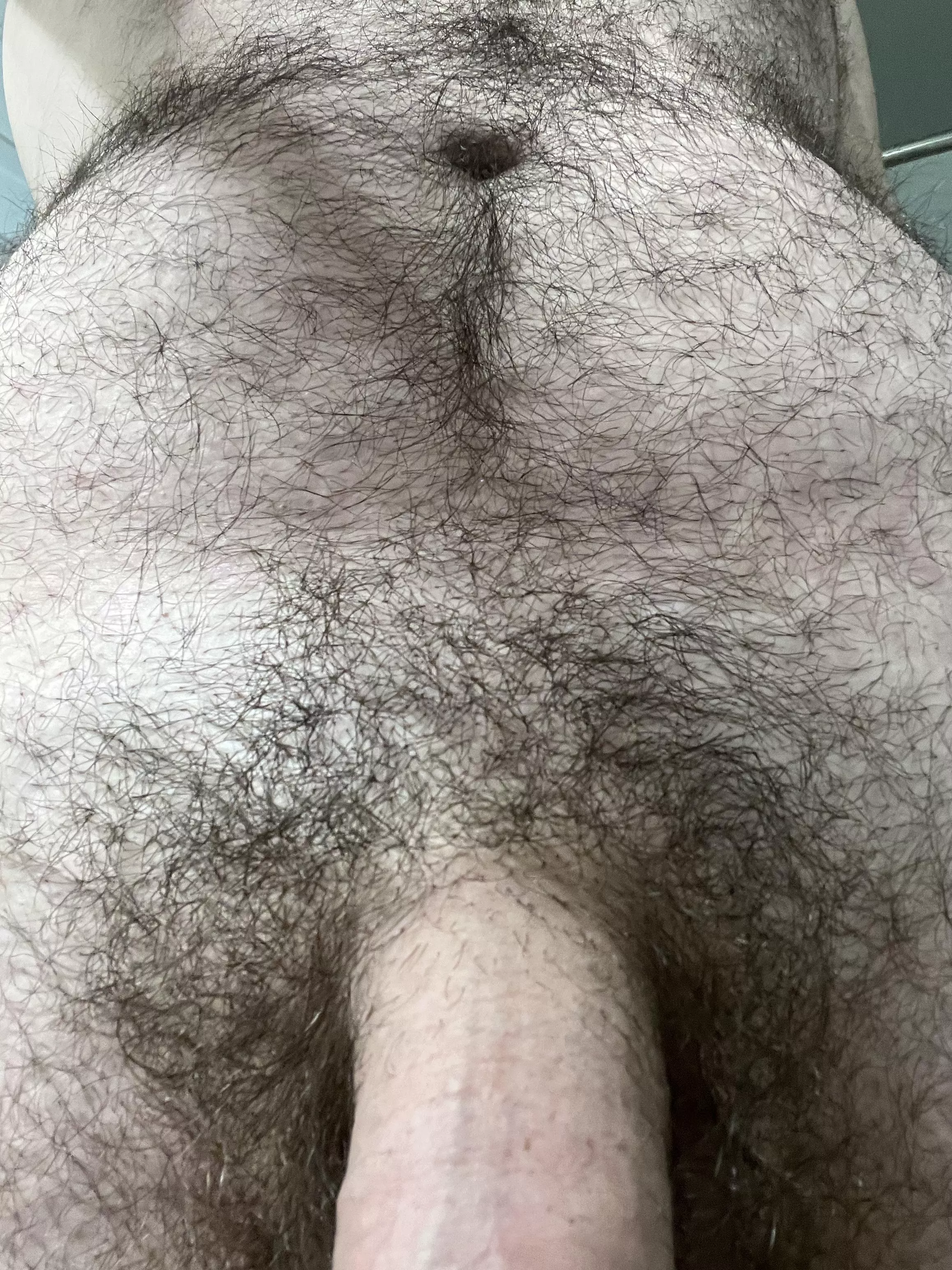 You like the view? (21) posted by HairyBulldog