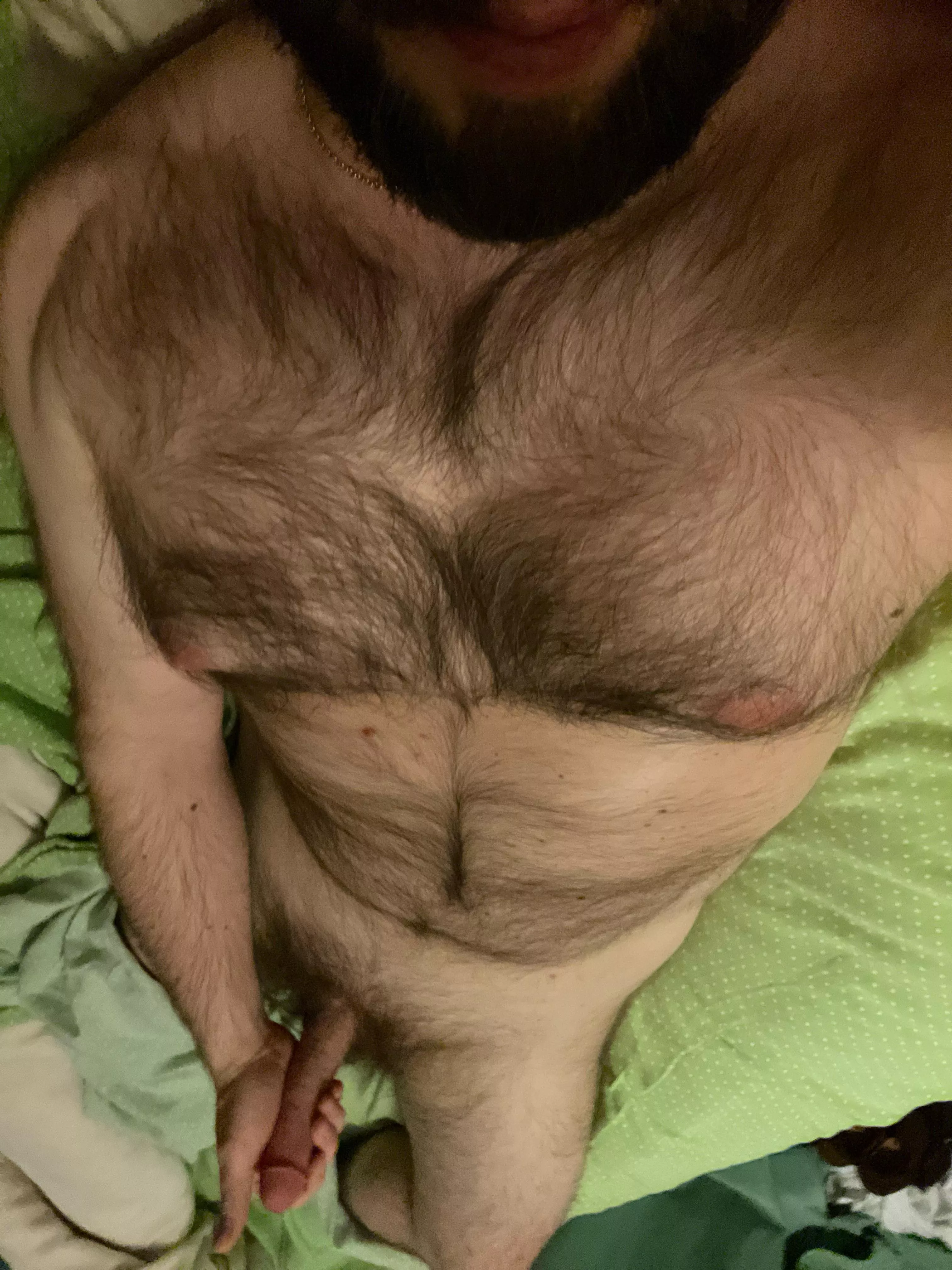 [36] hairy masculine looking to jerk with similar men posted by bryc244