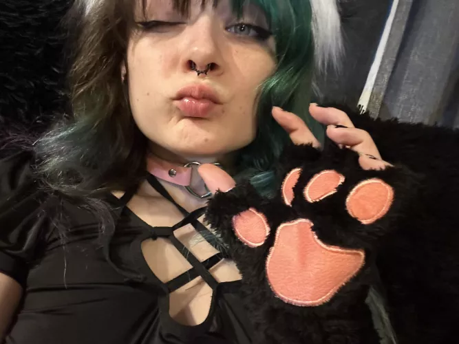 can you make this kitty purr? 🖤 by nekonaomie