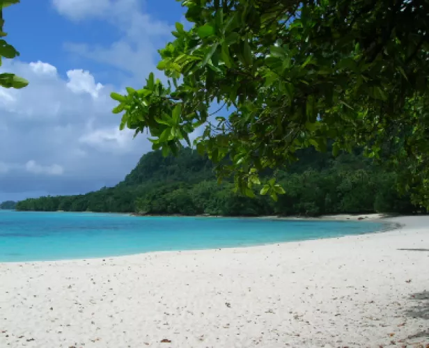 Champagne Beach by RM18297