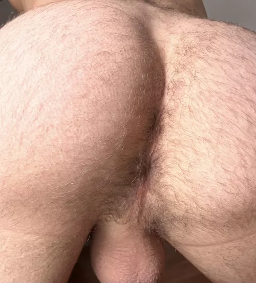 Come use my hairy ass dude by ElsaGermaineRiley