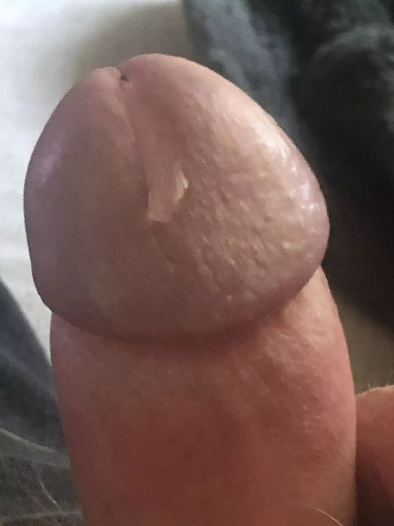 Drooling as always posted by IndependenceMuch4673