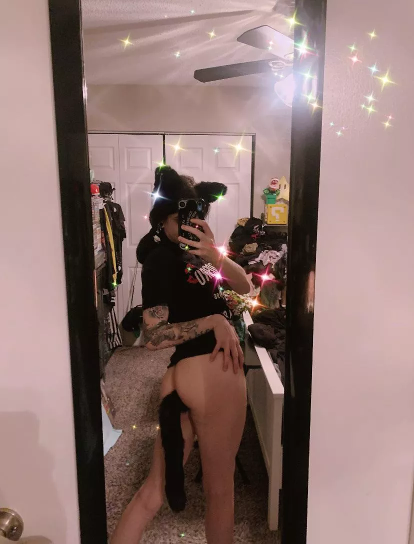 give it up for my first set of ears 👏🖤 posted by posierosie01