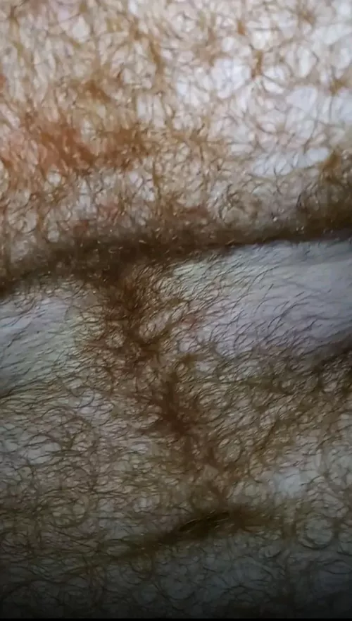 I took this close up shot of my wet chest hair while camping by SoldierOfLove23