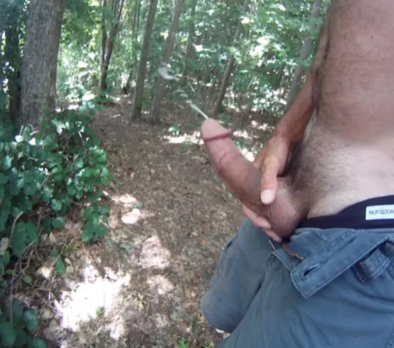 Little walk on the Trail by Well-Endowed9911