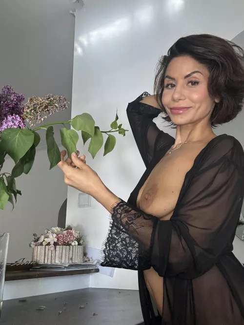 Loving these spring lilacs by Tanned_peaches