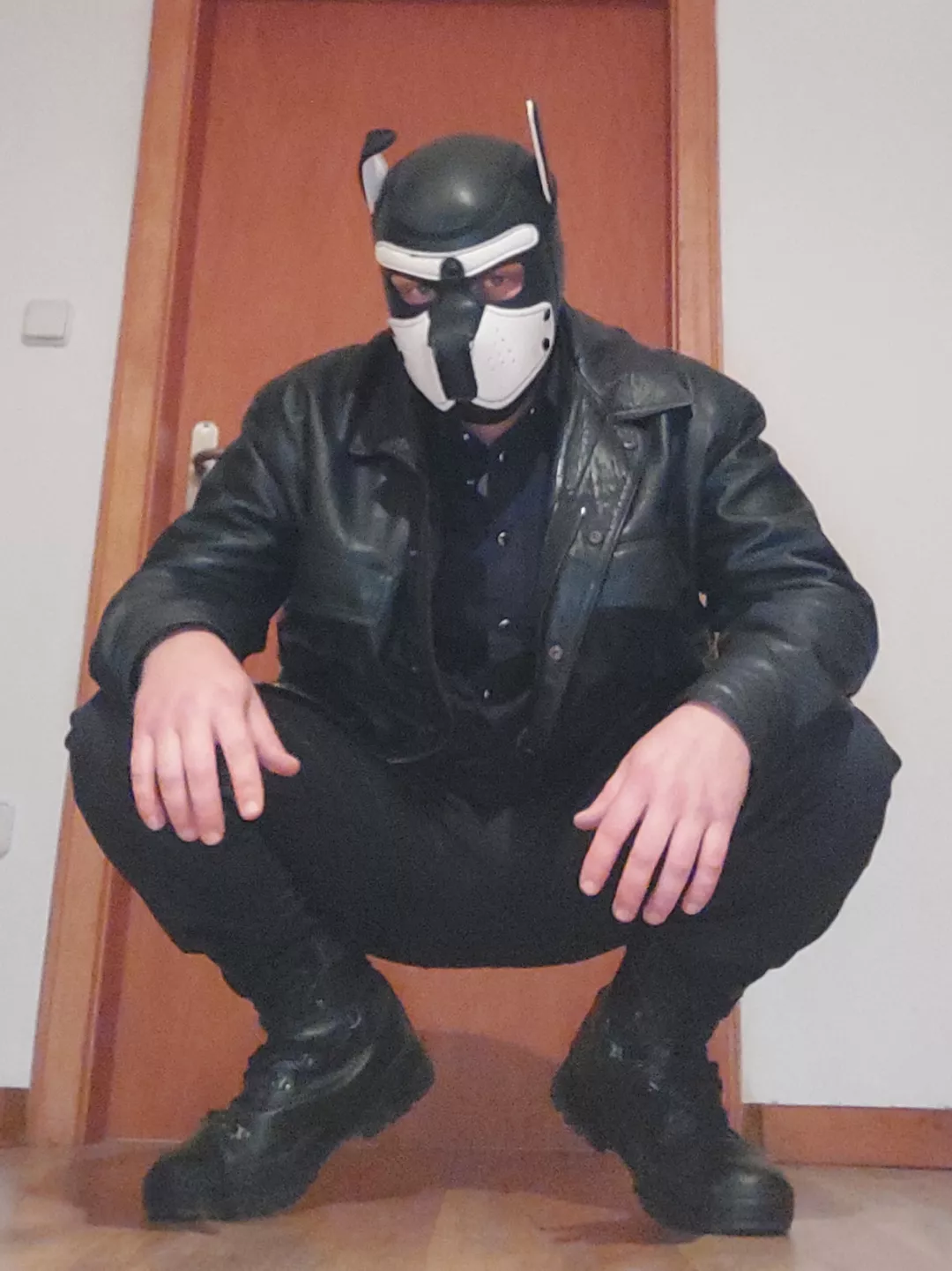 May i introduce the german leaterpup Ody posted by Lederwuffel_Ody