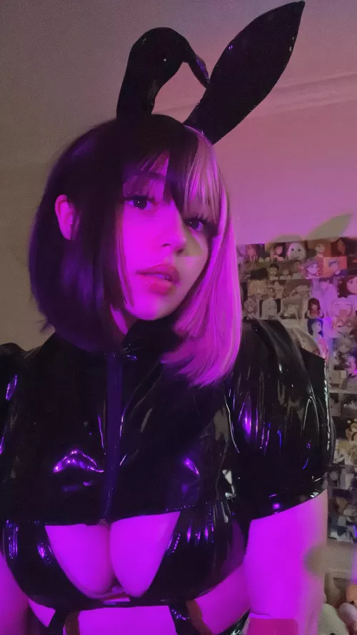 My Bunny Cosplay :) by not_sugashi