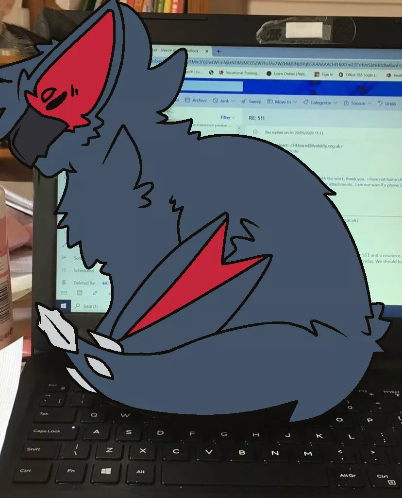 on their puter.. (By @RuiOnRollers) posted by Used_Dimension1555