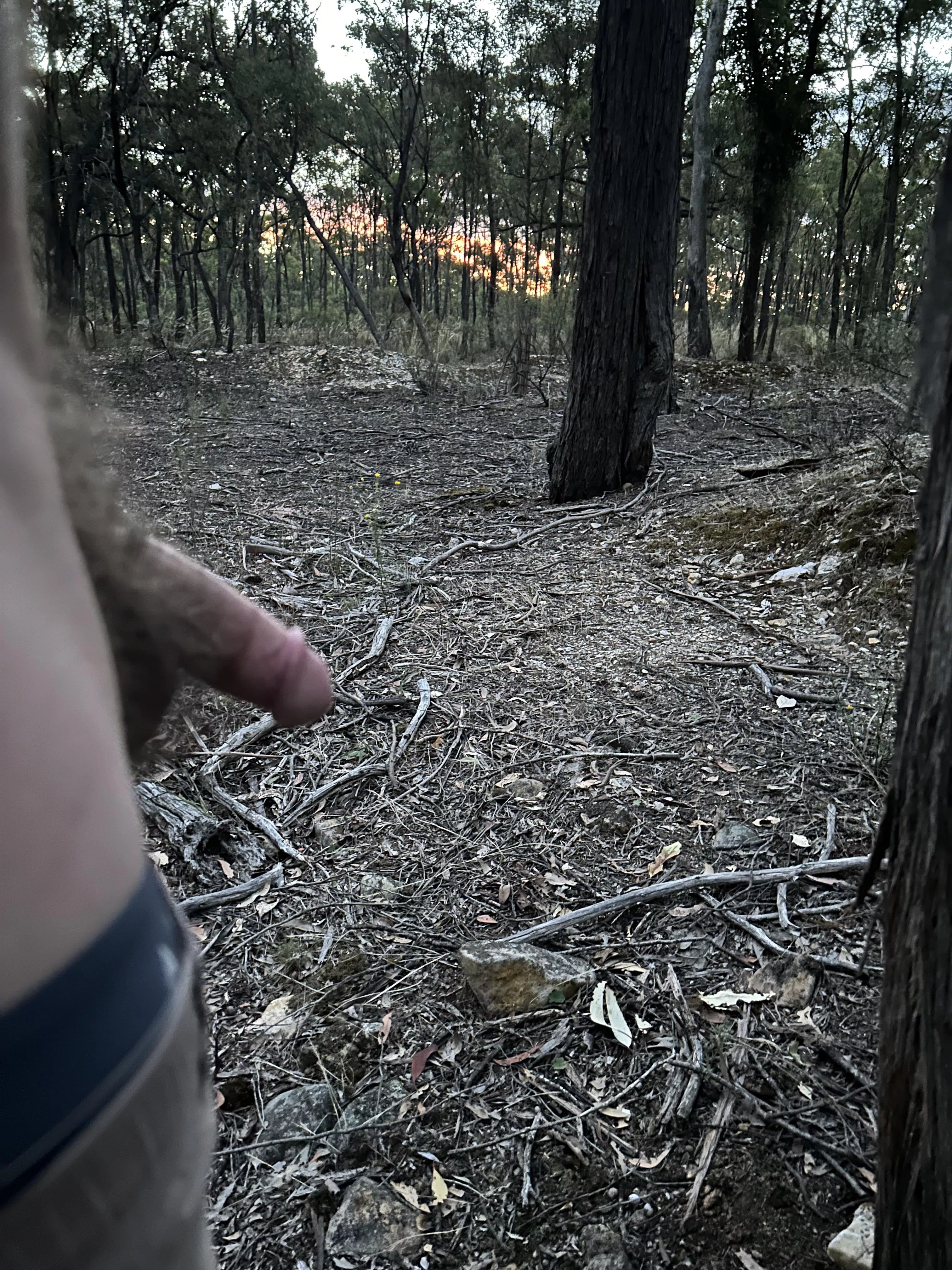 Outdoors posted by Fantastic-Nobody4365