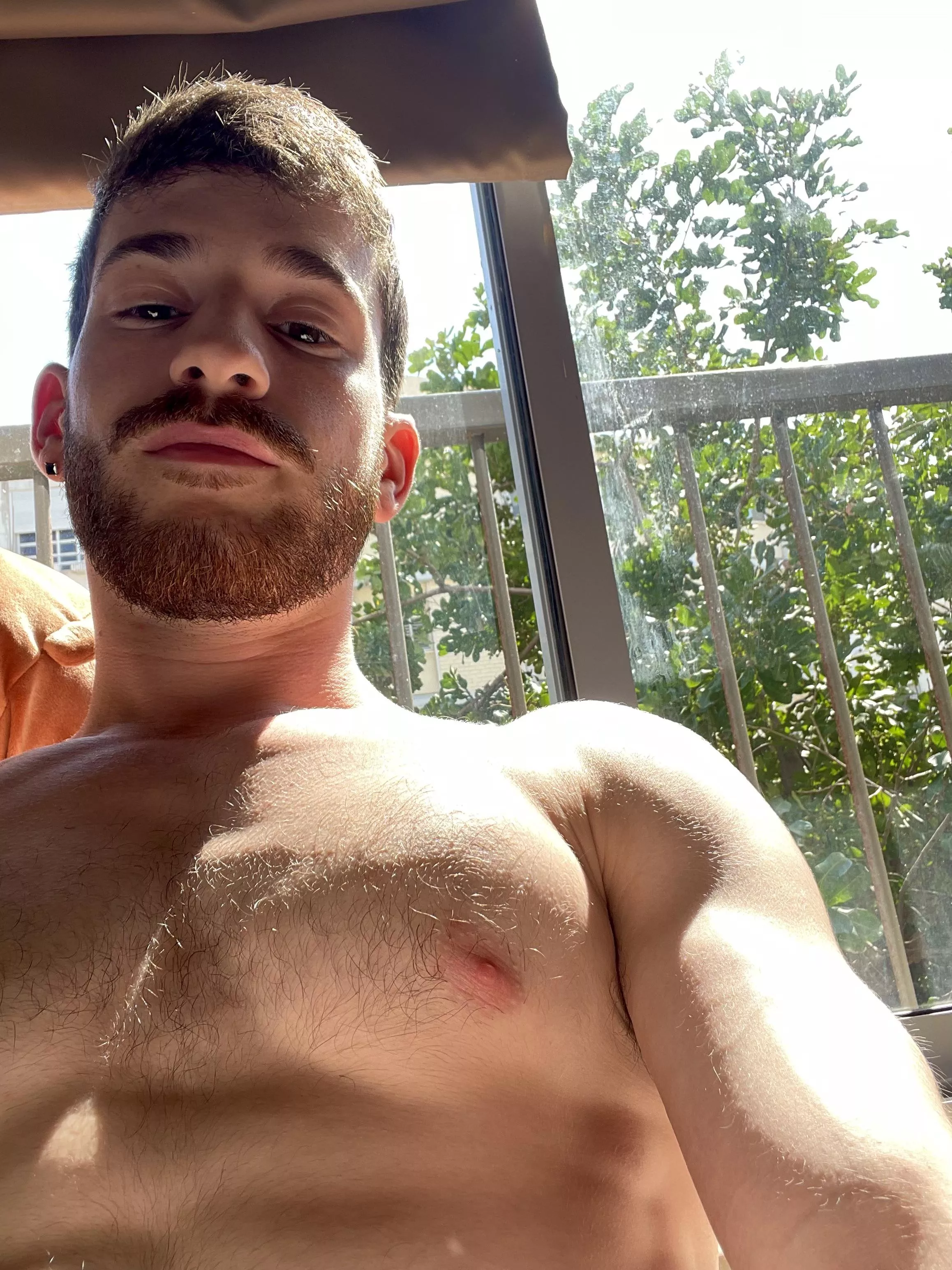 Receiving some sofa sunlight. I hate how my beard turns red in the sun 👺 posted by Altiverses