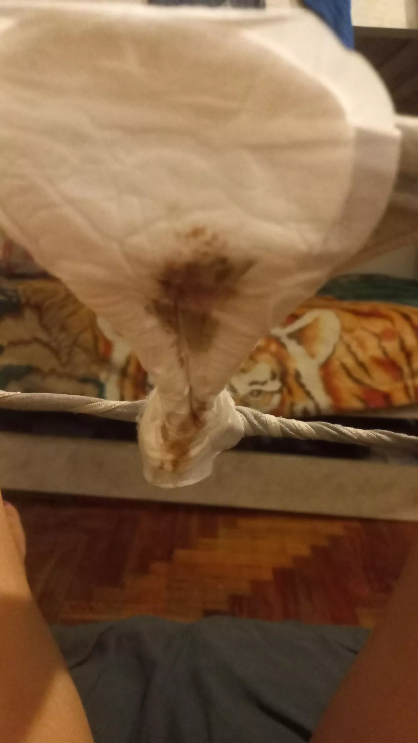 Say hi if you’d lick it 🥰 posted by Maria_Magdalena69