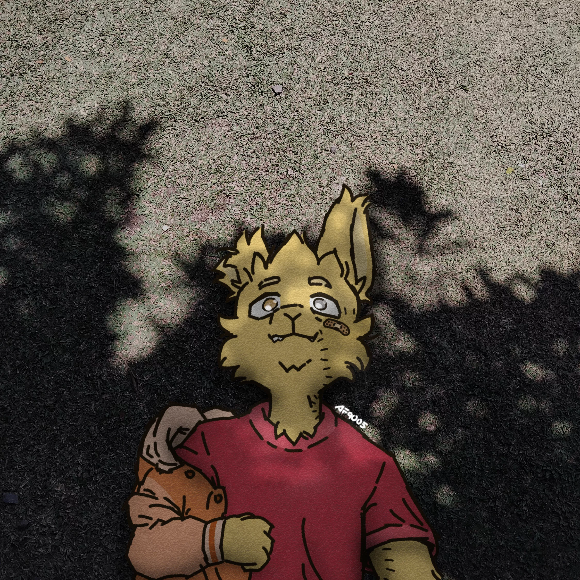 Shade posted by AF9005