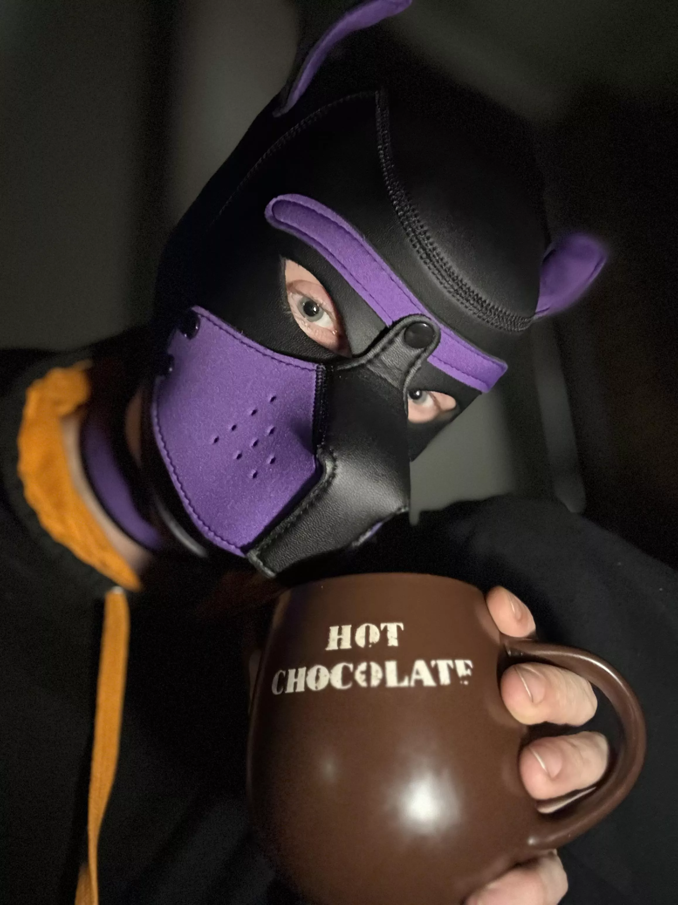 Some late night hot cocoa.. Awwrrooo!!! 💜 posted by Pup_Arlo