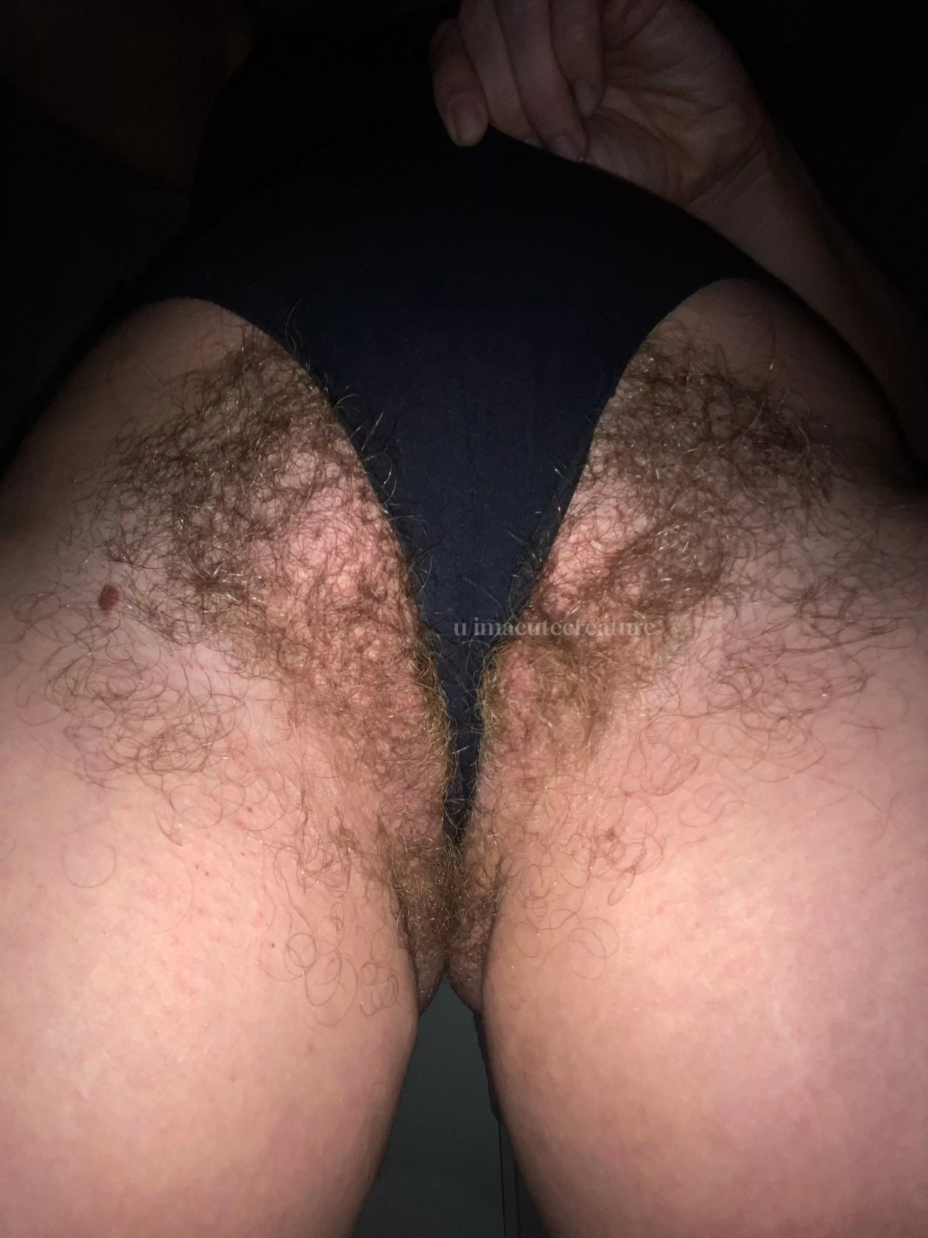 What will you do when I sit on your face? posted by imacutecreature_