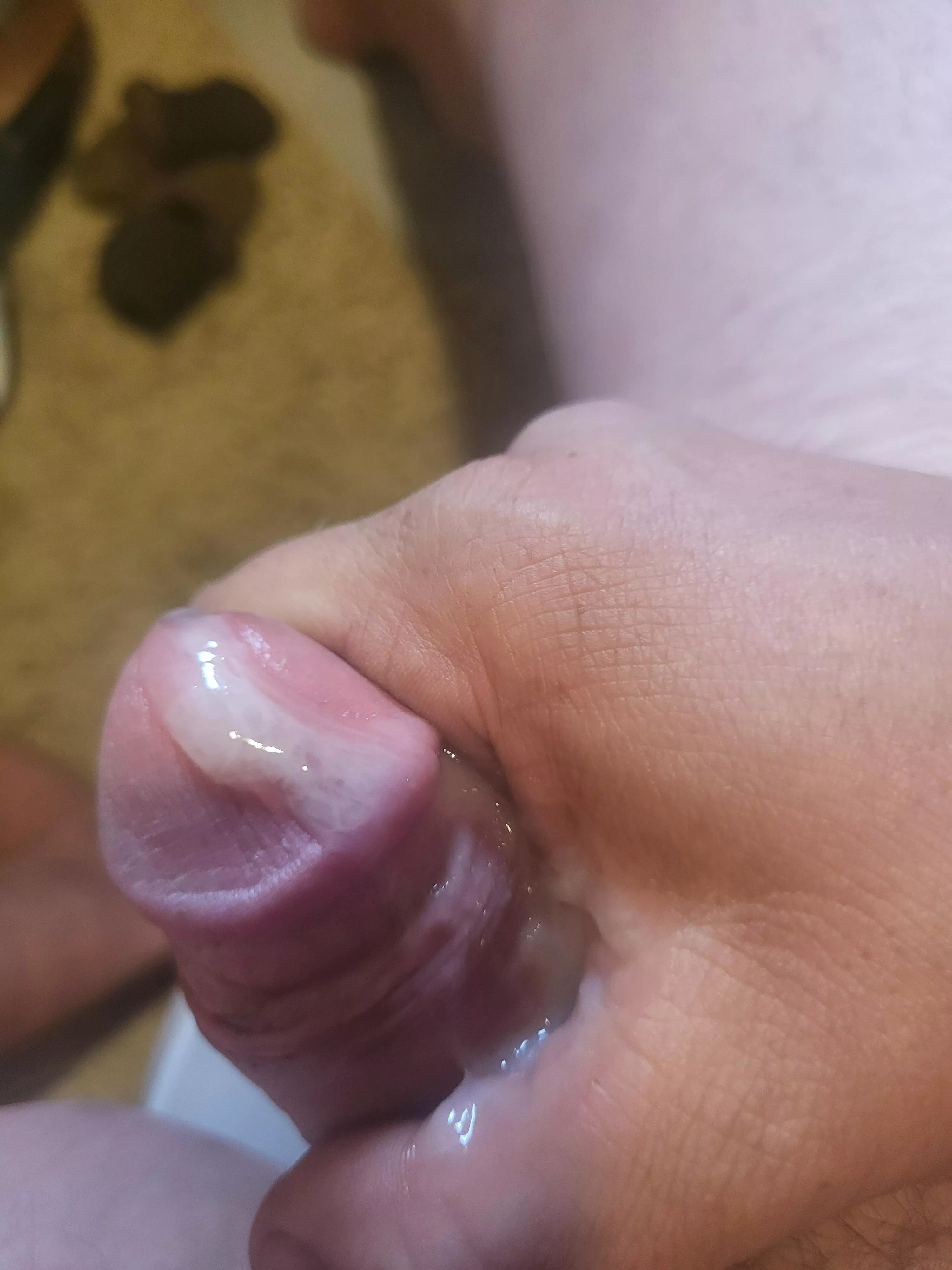 Who's willing to be my own personal cum dumpster? posted by Derek_thegreat