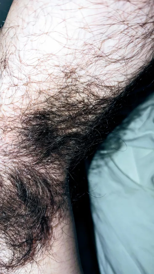 YAHA (Yet Another Hairy Armpit) by Anxious_Ananas_643