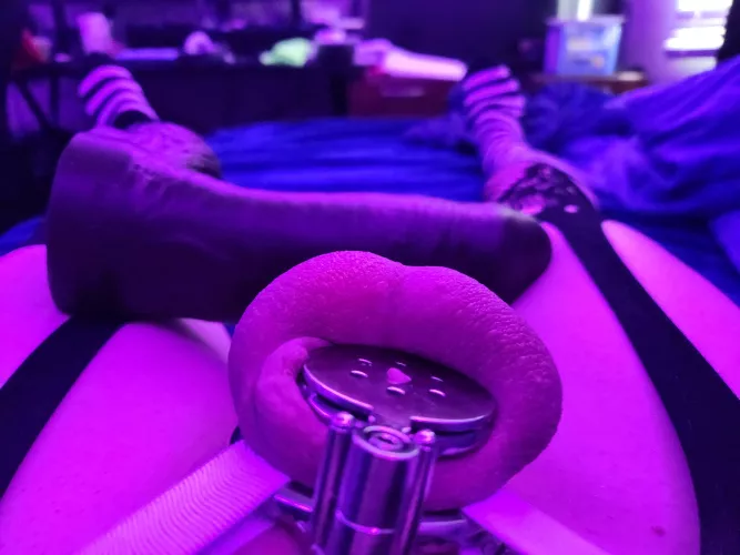 All locked up by hopless_white