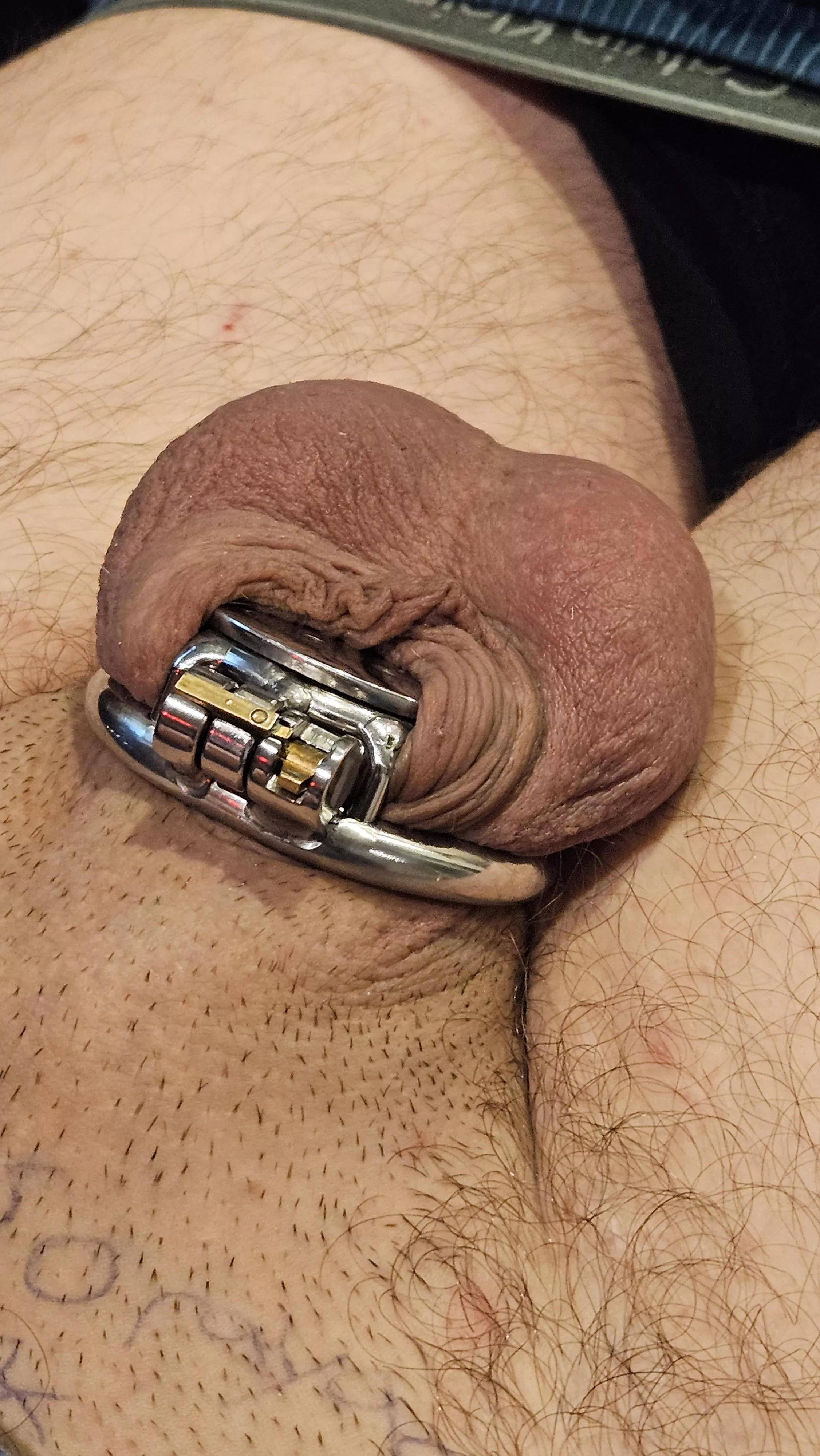 Anyone else think the flat cage is very comfortable? posted by platinumchipz