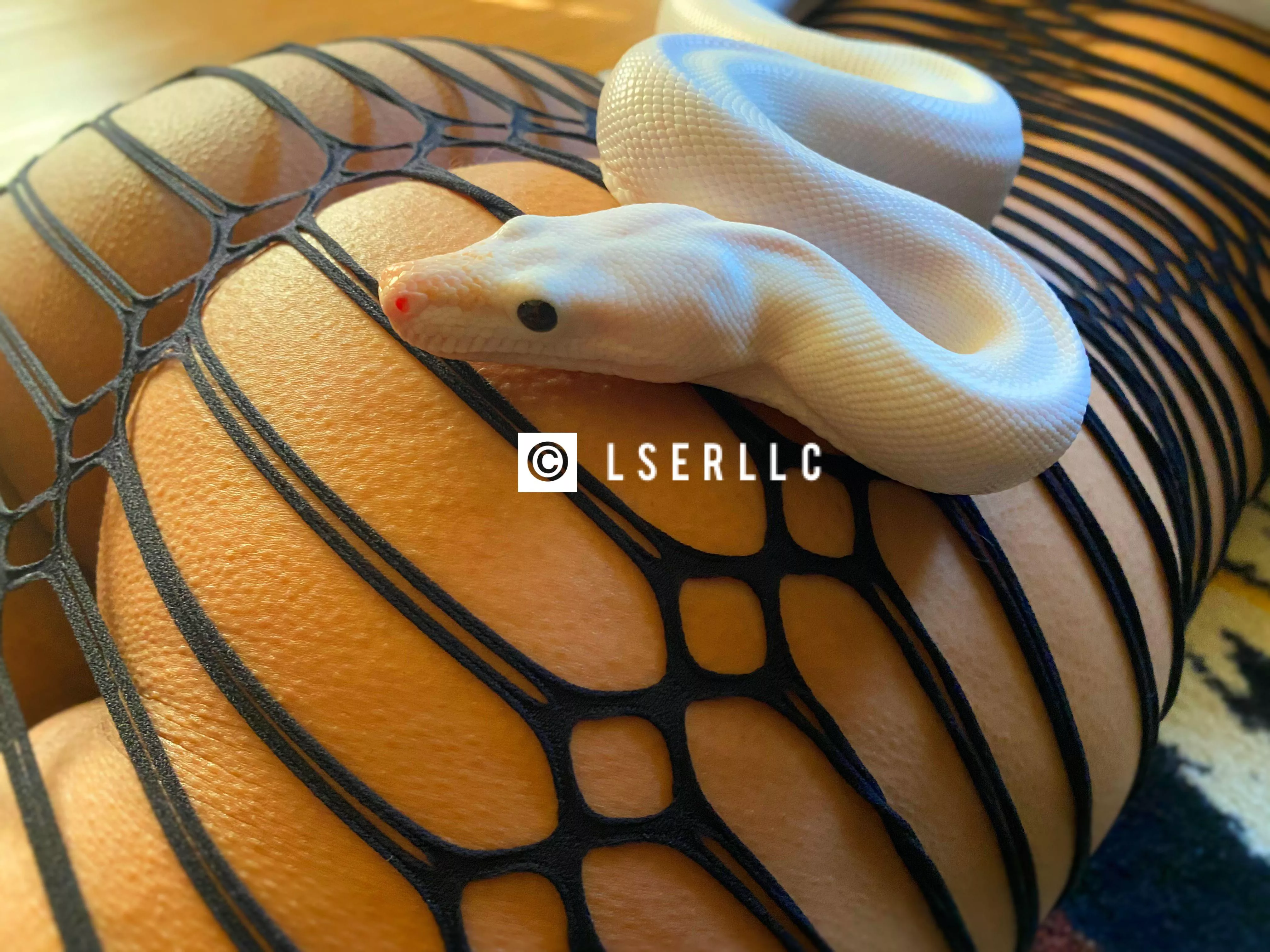 Booty Goosebumps posted by LSERBBB