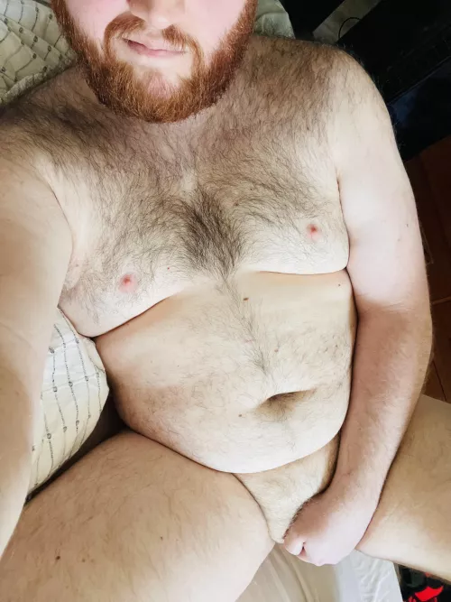 Do you like Ginger Cubs? by Countess-Von-FngrBng