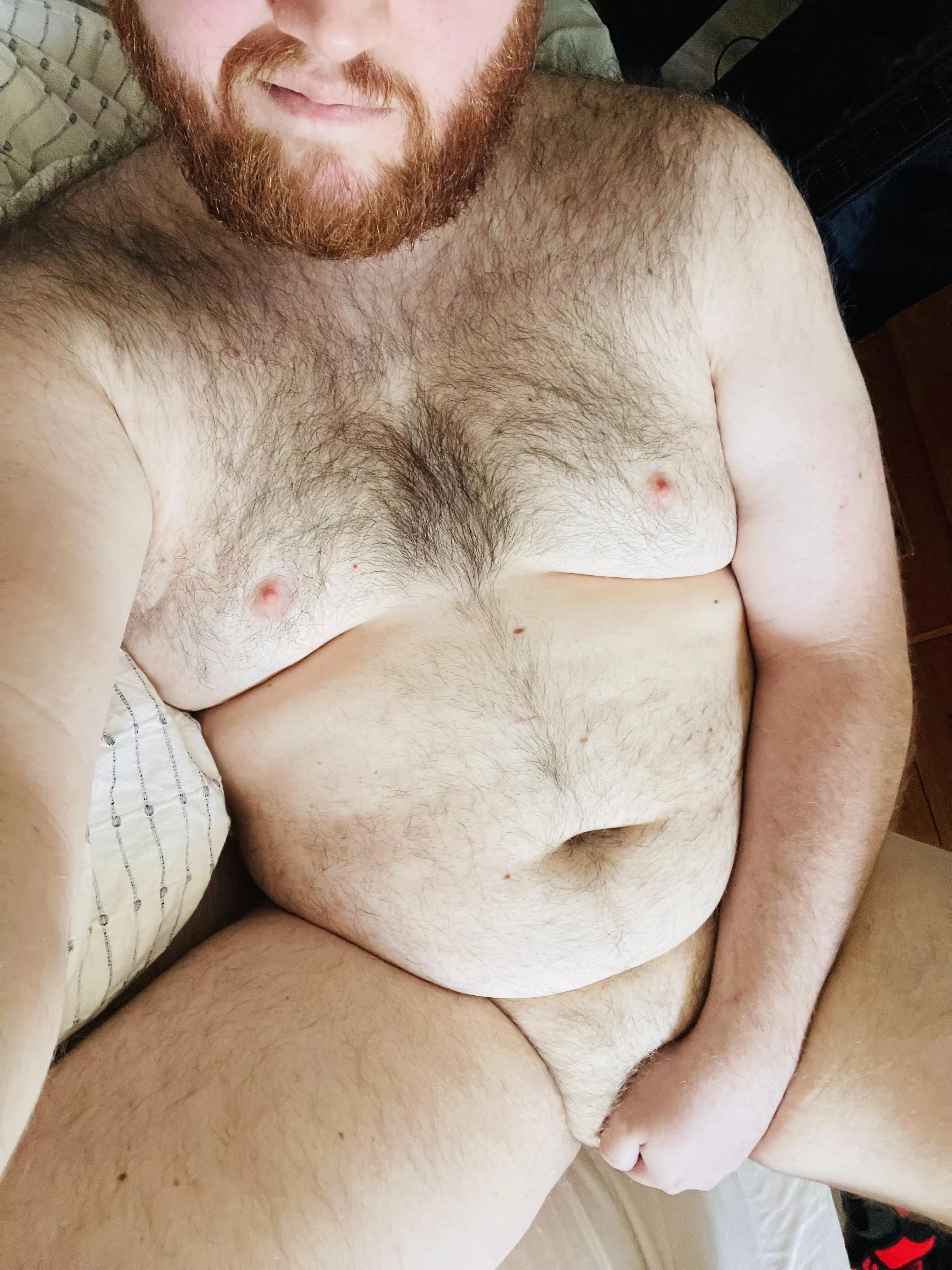 Do you like Ginger Cubs? posted by Countess-Von-FngrBng