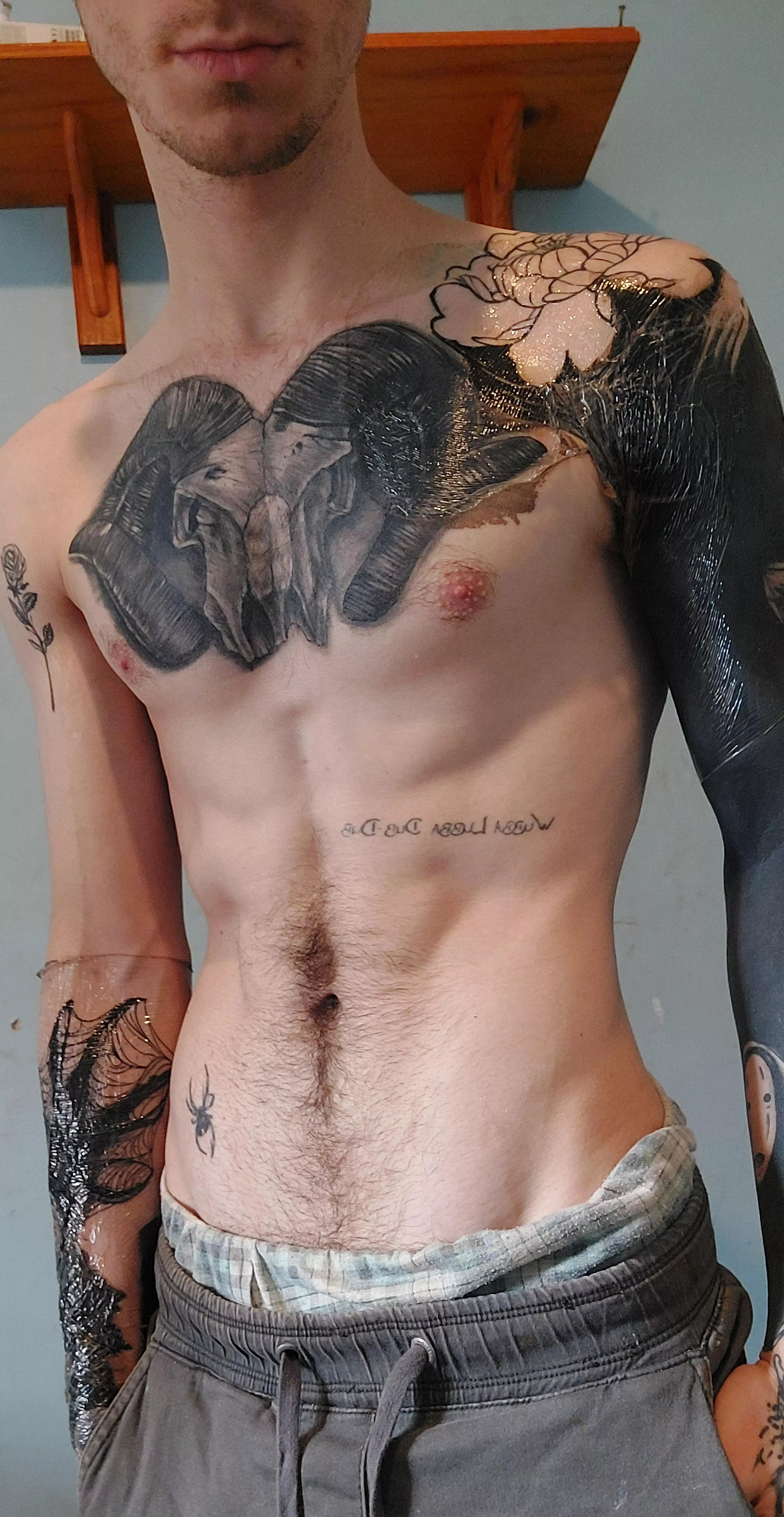 Got a few new ones posted by Acrobatic-Bake2084