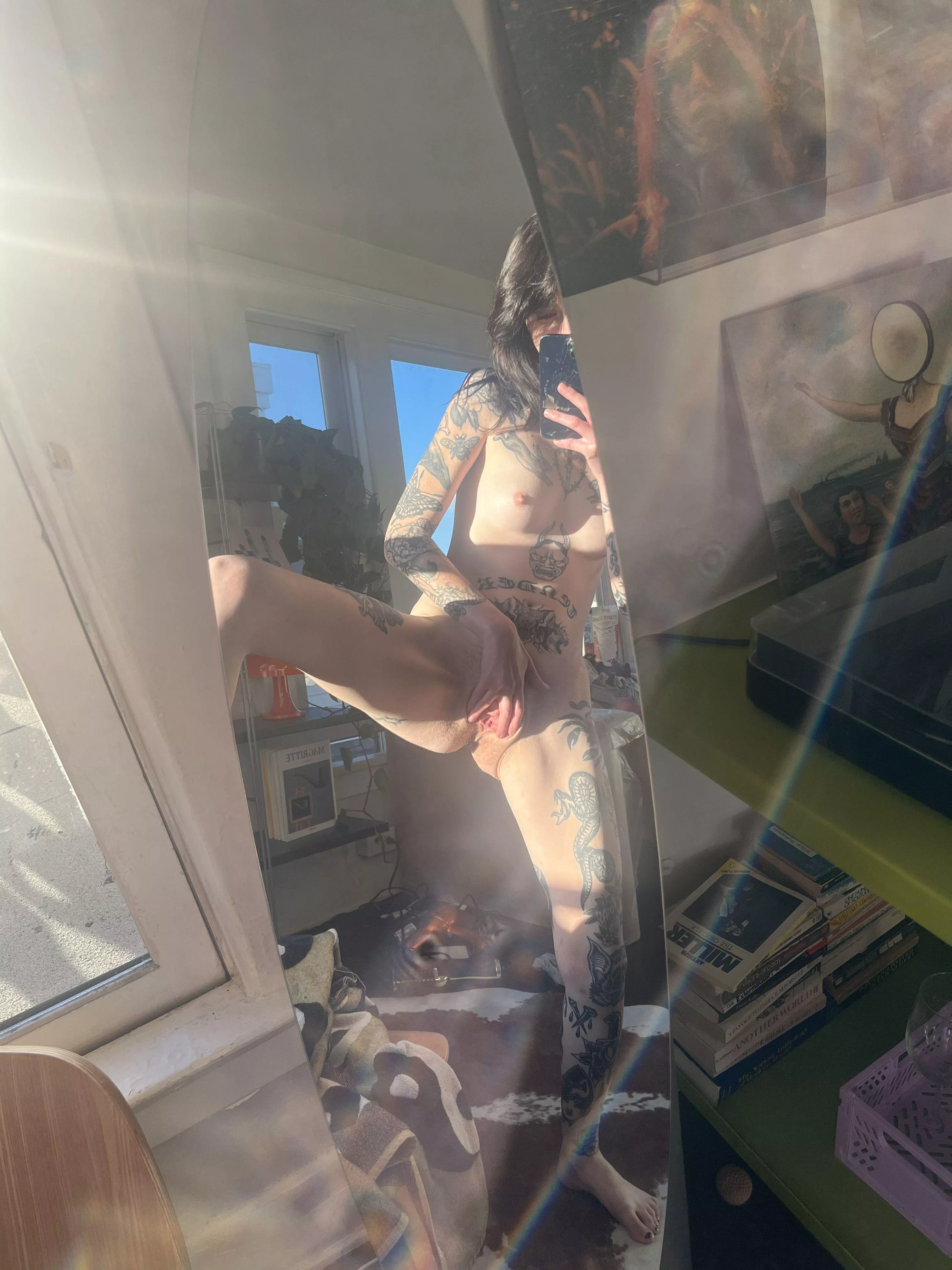 goth girl pussy in the sun what do we think? posted by Own_Practice_8161