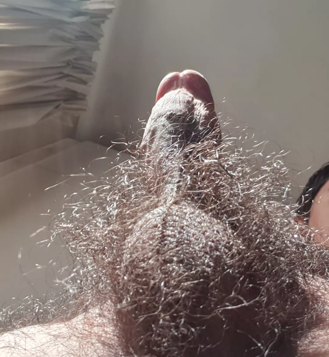 Hairiest you've ever seen posted by Agitated_Yellow_5531