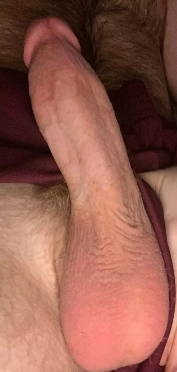 Here to help get you wife pregnant  posted by Brilliant-Swing-4776