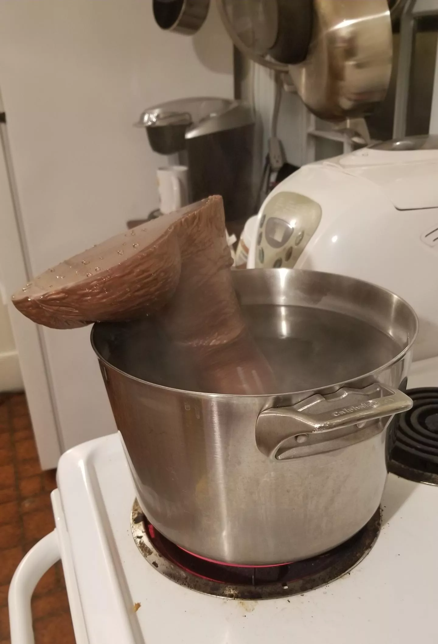 I need a bigger pot posted by Phaewryn