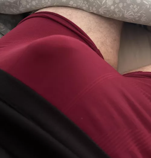 It was hard to choose a color today. Also anyone into bulges want to trade? by Repulsive_Hurry4593