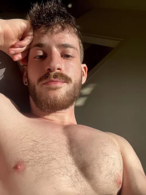 My stupid sunginger beard, sample 2. I swear it usually is the color of my hair by Altiverses