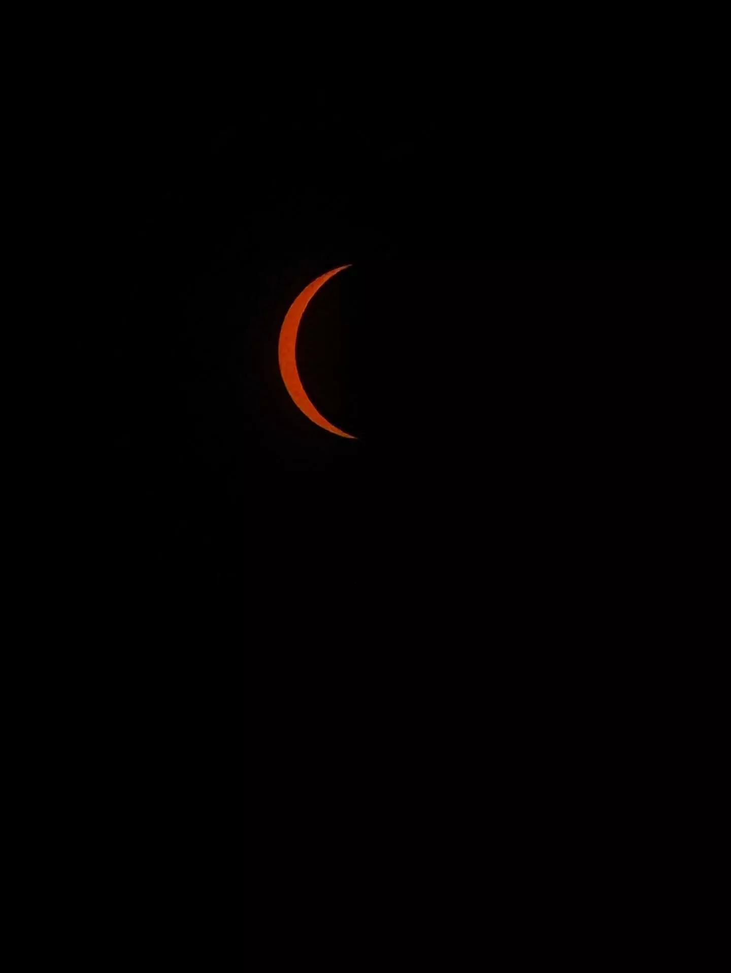 need a man thats obese  posted by Ok-Caterpillar-4828