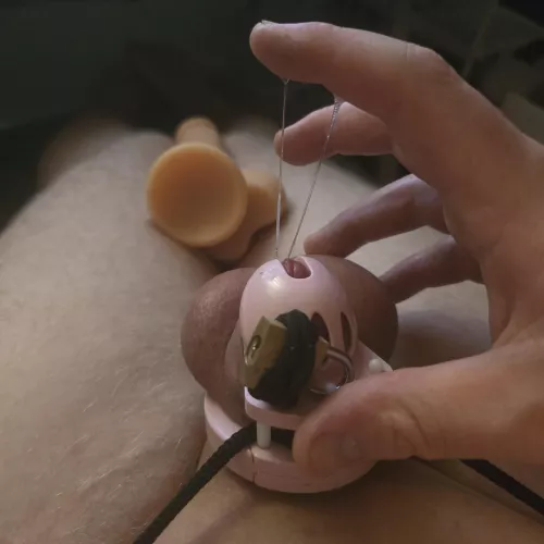 Oh how I would hate if someone claimed ownership over me 🙈 by Mindless_Today691