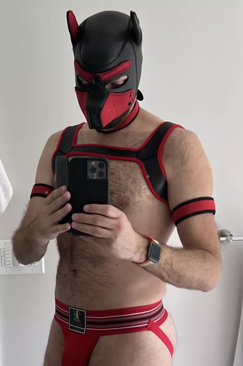 Pup in training by moki_pup