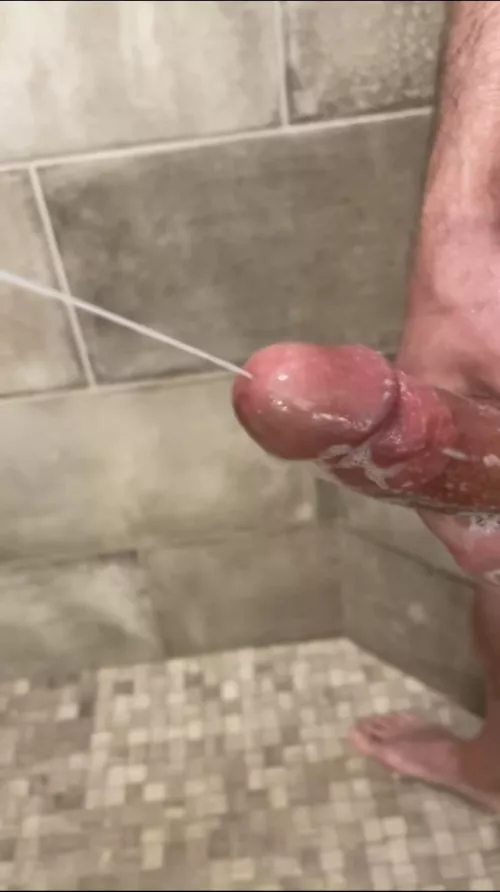 Ropes (41) by WildWilly_83