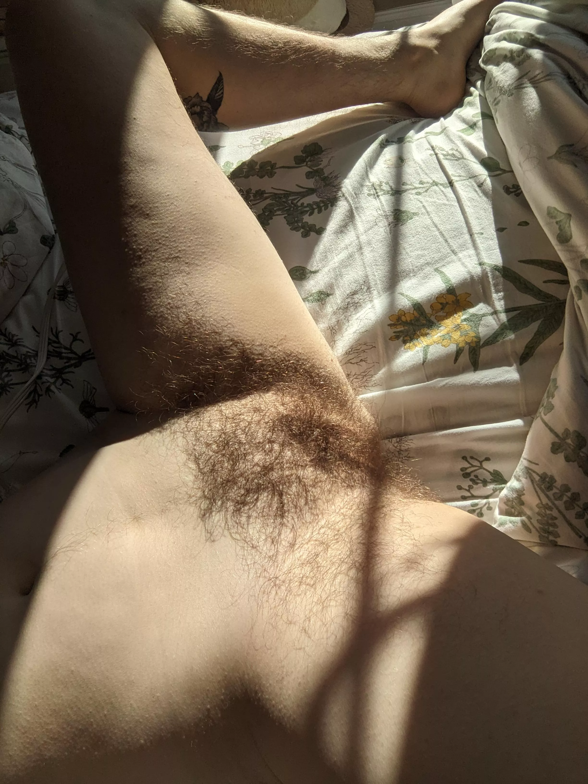 Sometimes hairy guys are also girls with tight pussies that need to be filled  posted by hornyforhummus