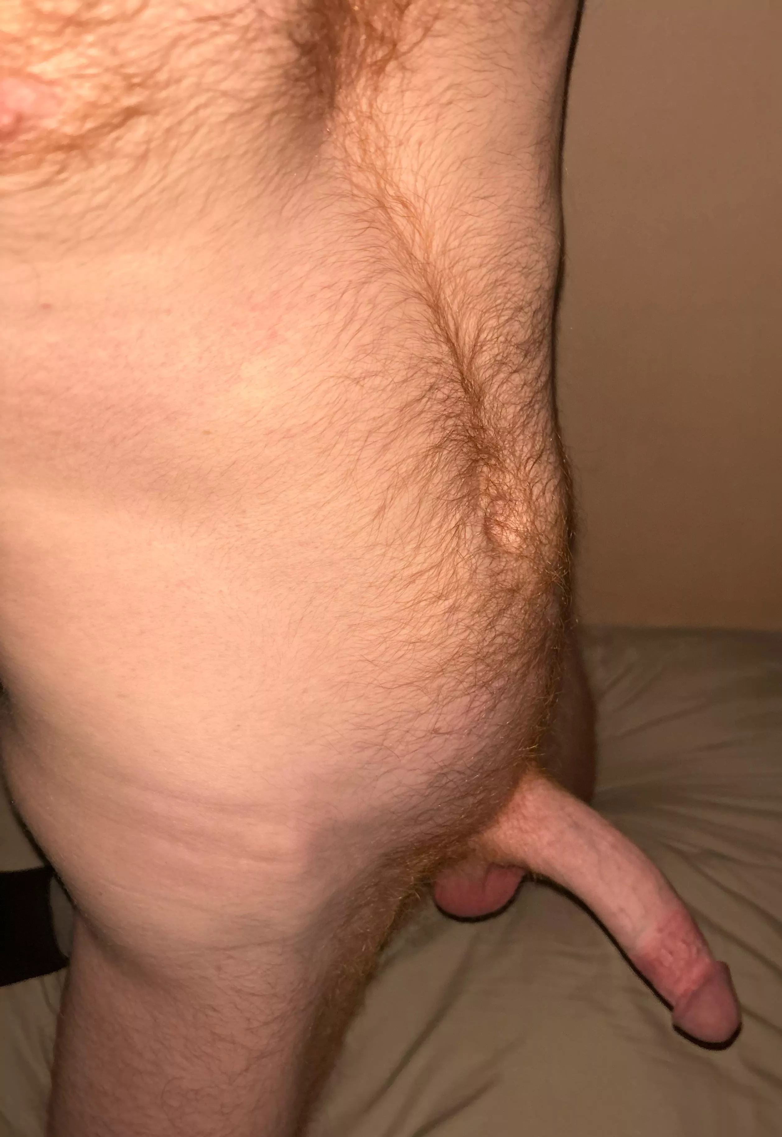 Who wants it? posted by GingaNinga6911